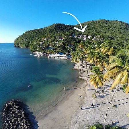 Oasis Marigot Hotel ภายนอก รูปภาพ